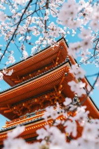 Japan spring