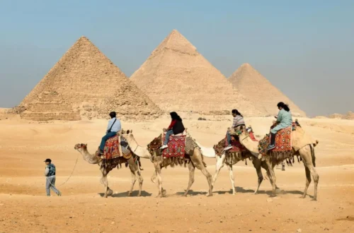 Camel-Riding
