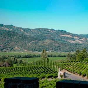 Napa Valley