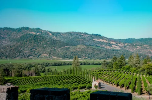 Napa Valley