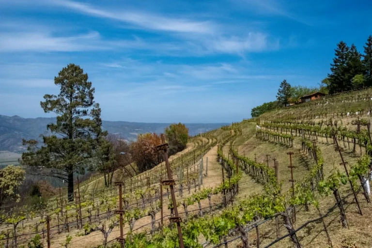 St Helena Napa Valley street