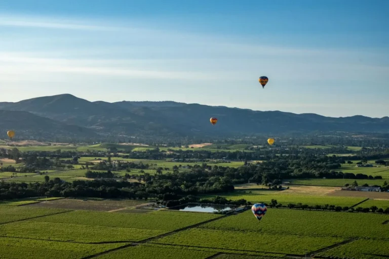 hot air balloon vineyard sunrise