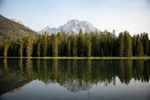 Yellowstone and Grand Teton